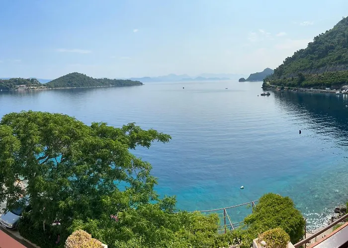 Διαμέρισμα Anica