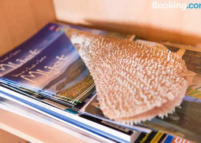 Διαμέρισμα Anica