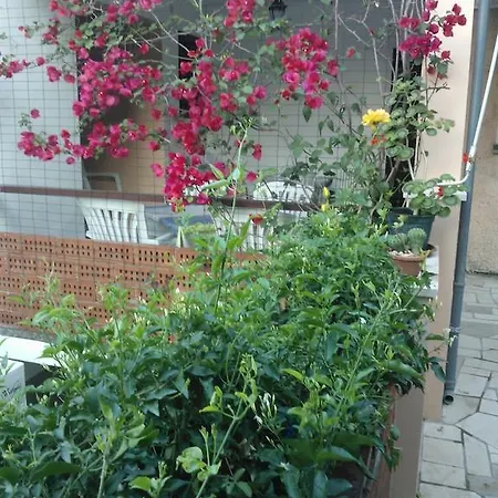 Appartement Anica *